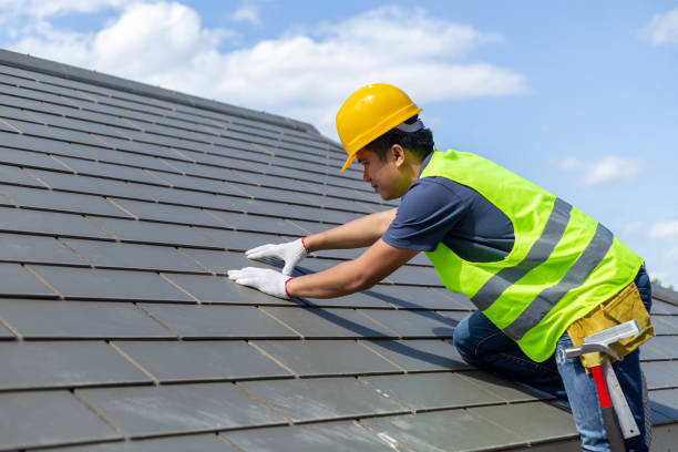 Best Roof Maintenance Services  in Stonewall, MS