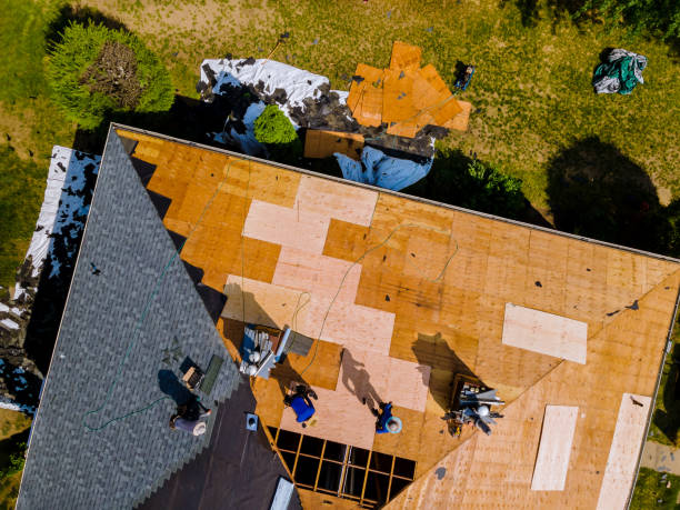 Best Metal Roofing Contractor  in Stonewall, MS