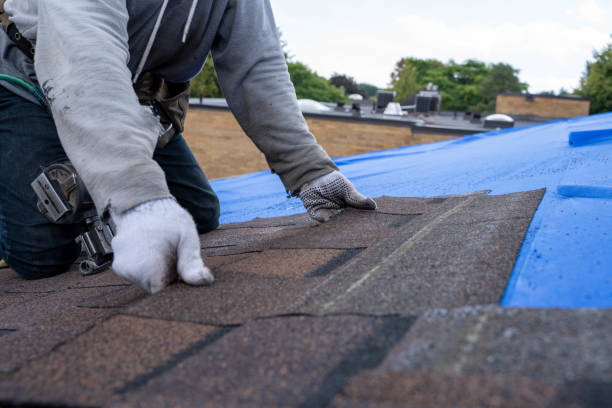 Gutter Installation and Roofing in Stonewall, MS